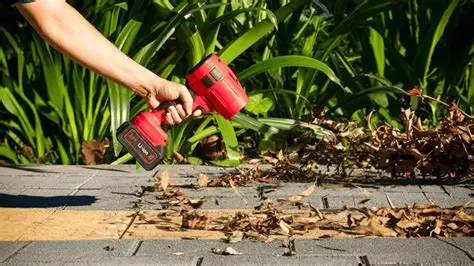 Wood Ranger Leaf Blower clearing a patio
